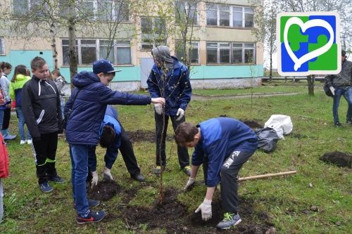 Год добрых дел: Зелёный школьный двор